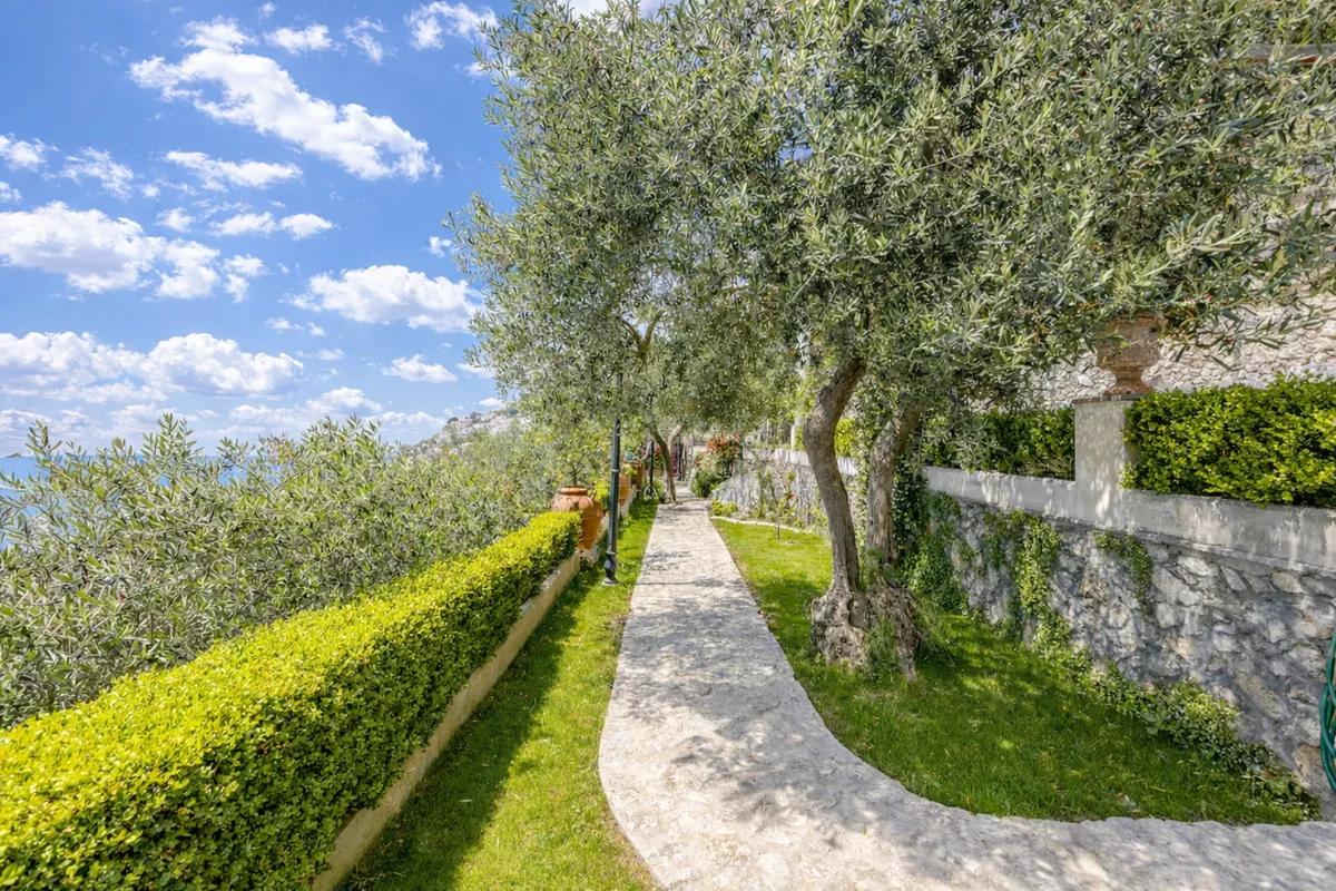 Vialetto giardino ulivi Villa Antonella Praiano